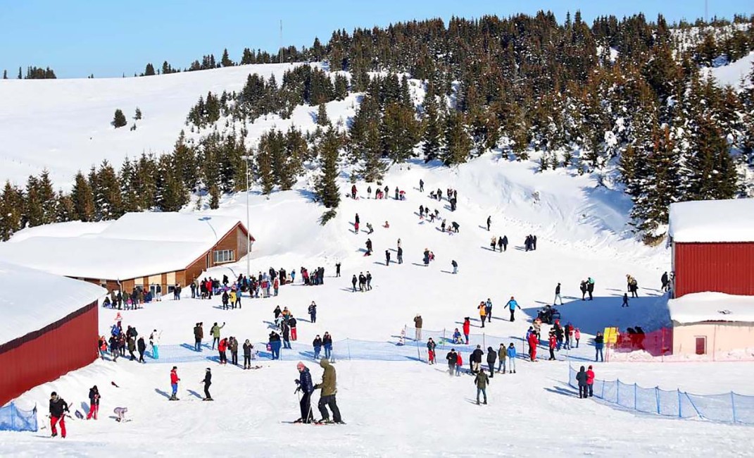 Ordu Çambaşı Yaylası Turistik Tesisleri Gintek Yayla Evleri<br><br>