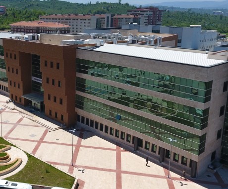 Ordu Üniversitesi Diş Hekimliği Fakültesi İkmal İnşaatı Yapım İşi